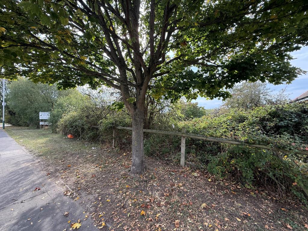Lot: 63 - FREEHOLD PARCEL OF LAND WITH POTENTIAL - Front shot of land